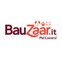 Bauzaar