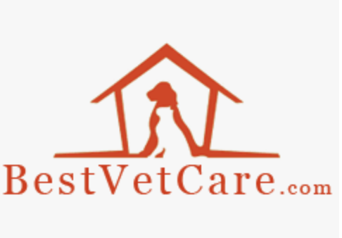 Best Vet Care