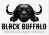 Black Buffalo