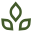 CBD Therapy