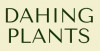 Dahing Plants