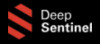 Deep Sentinel