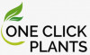 One Click Plants