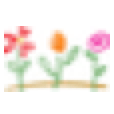 Wineflowers